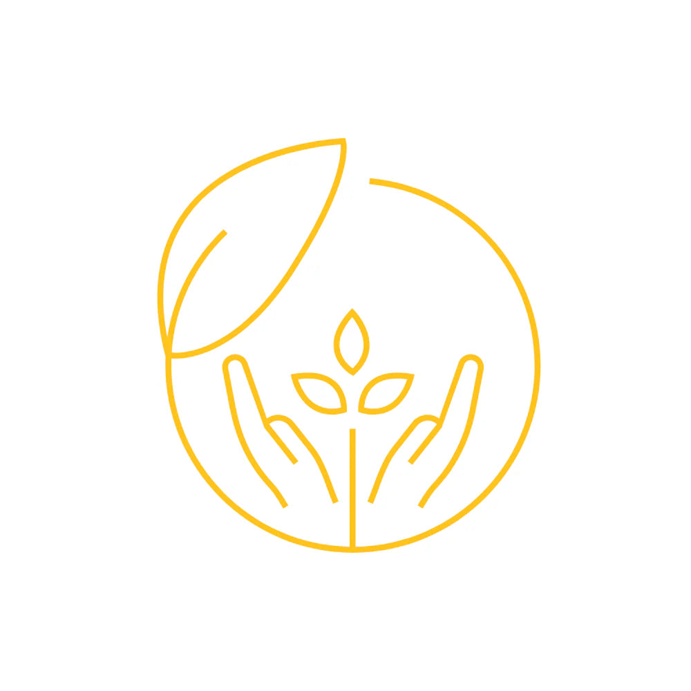 <p><strong>Oli di origine vegetale</strong></p>